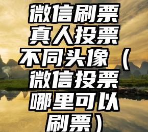简单的来说下微信投票人工怎么刷票（微信纯人工投票）