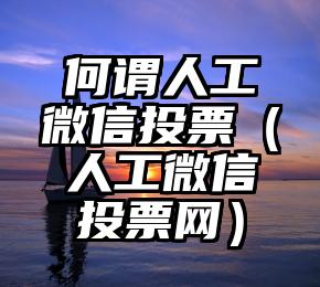 简单的来说下微信投票人工怎么刷票（微信纯人工投票）