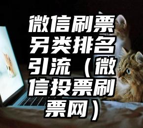 简单的来说下微信投票人工怎么刷票（微信纯人工投票）