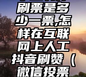 简单的来说下微信投票人工怎么刷票（微信纯人工投票）
