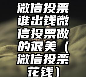 简单的来说下微信投票人工怎么刷票（微信纯人工投票）