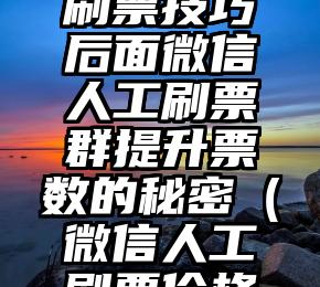 简单的来说下微信投票人工怎么刷票（微信纯人工投票）