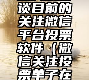 简单的来说下微信投票人工怎么刷票（微信纯人工投票）