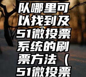简单的来说下微信投票人工怎么刷票（微信纯人工投票）